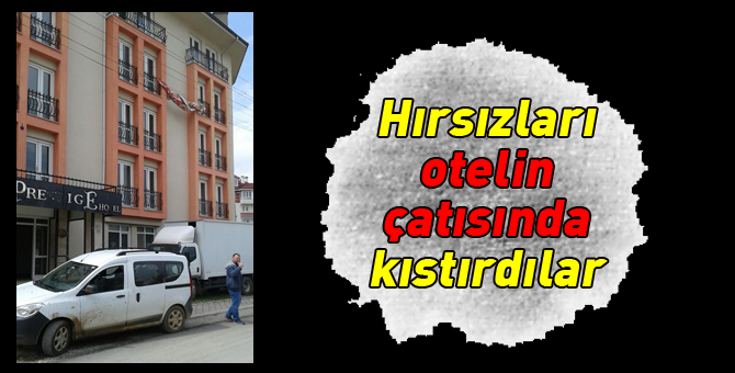 Hırsızlar suç üstü yakalandı