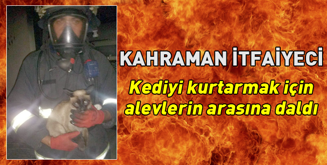 Kediyi kurtarmak için alevlerin arasına daldılar