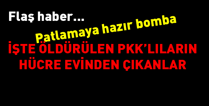 İşte PKK'lıların evinden çıkanlar