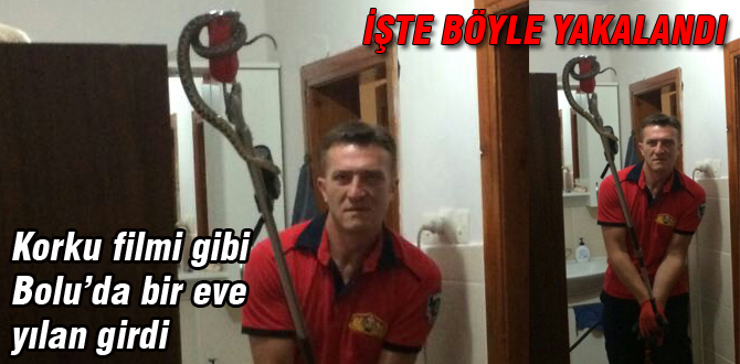 Bolu'da bir eve yılan girdi, büyük panik yaşandı