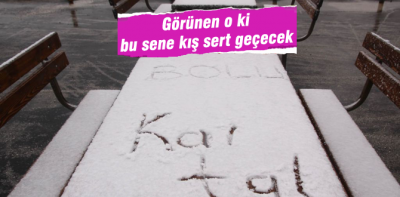 Bolu'ya lapa lapa kar yağıyor