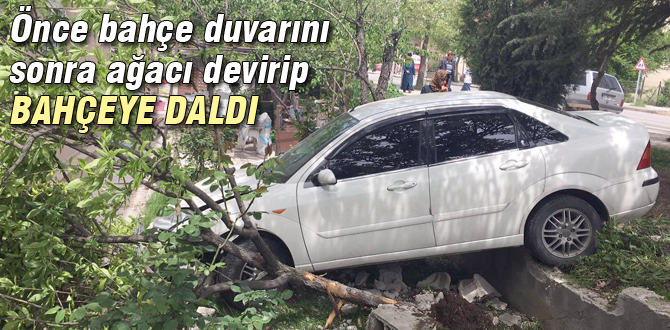 Davetsiz misafir dedikleri bu olsa gerek