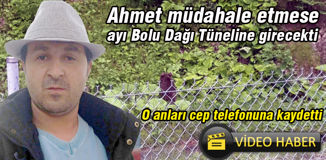 Ayı Bolulu Ahmet'ten korkup geri döndü