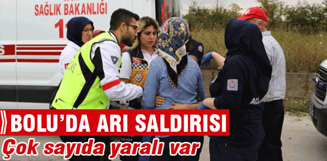 Arılar 10 kişiyi hastanelik etti