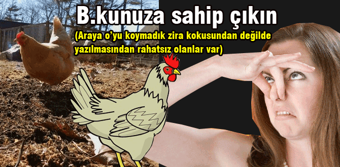 Tavukçular gübrelerinize sahip çıkan