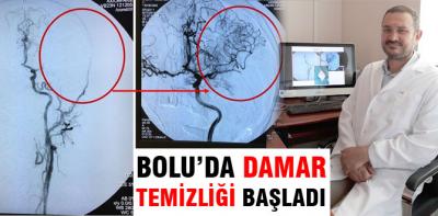 Bolu'da damar temizliği başladı