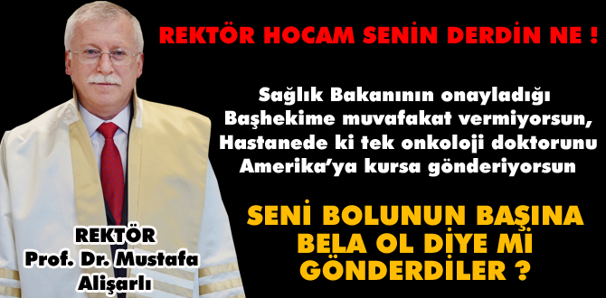 Rektör hoca seni Bolunun başına bela ol diye mi gönderdiler