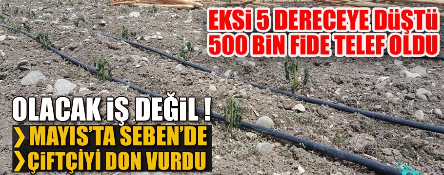 SEBEN'Lİ ÇİFTÇİYİ DON VURDU