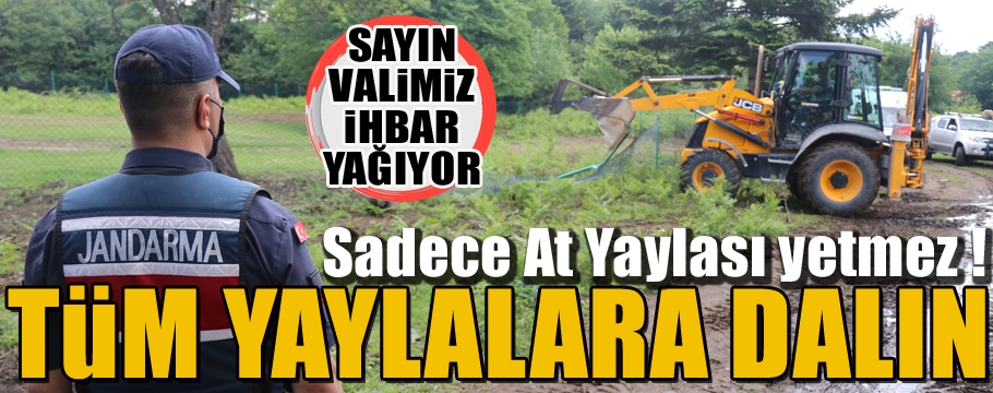 At yaylası yetmez tüm yaylalara dalın