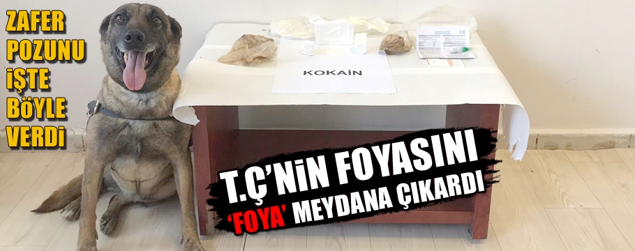 Yolcu otobüsünde 360 gram kokain yakalandı