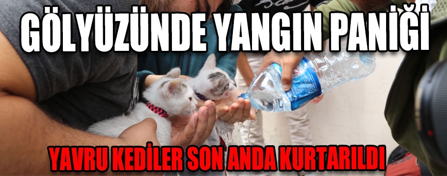 Gölyüzünde yangın paniği