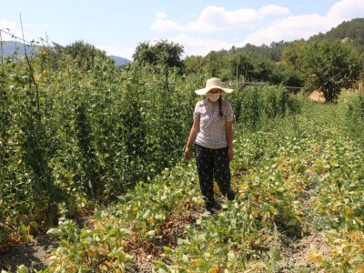 Otoyol'da bariyerleri aşan otomobil, şarampole uçtu: 4 yaralı