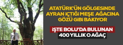 Atatürk bu ağacın gölgesinde ayran içerdi 