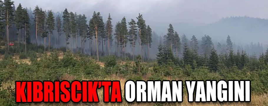 Kıbrıscık'ta orman yangını