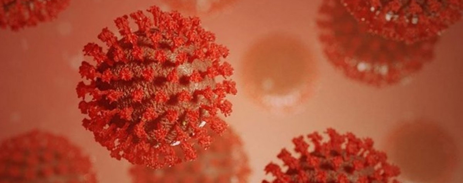 Koronavirüsün diken proteini, en az 10 farklı şekle bürünüyor
