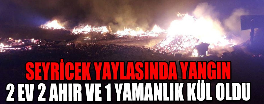 Seyricek yaylasında yangın