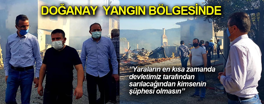 Doğanay yangın bölgesinde