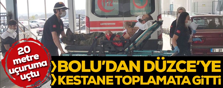 Kestane toplarken uçuruma yuvarlandı