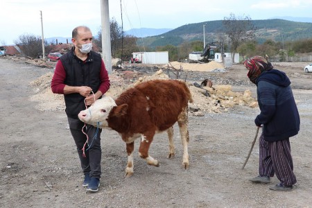 Bakan Yardımcısı Metin afet bölgesinde