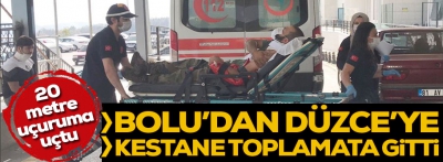 Kestane toplarken uçuruma yuvarlandı