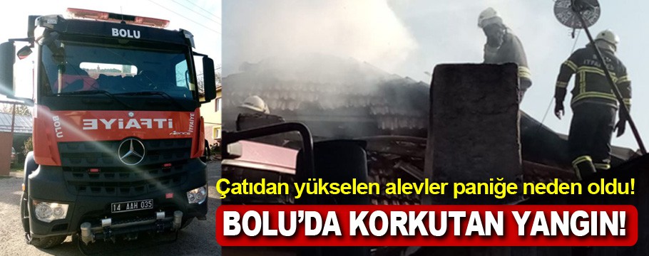 Bolu'da korkutan yangın!