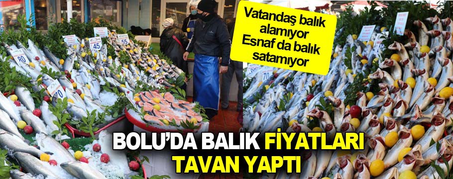 Bolu'da balık fiyatları tavan yaptı!