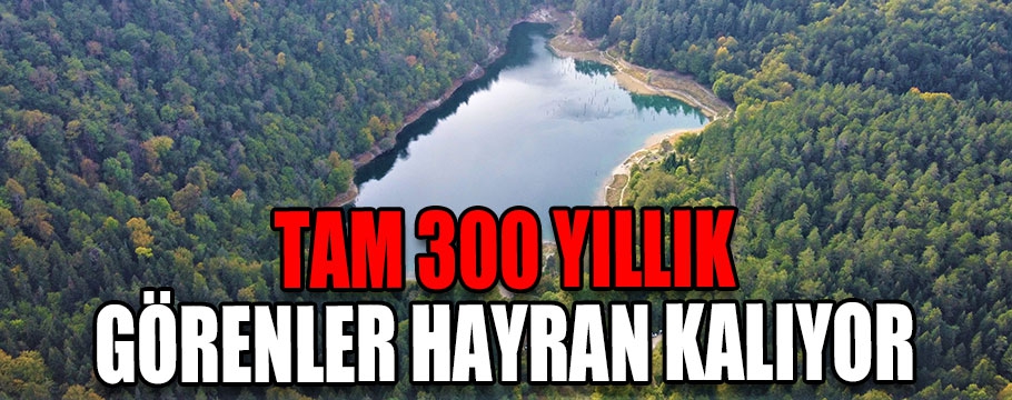 Görenler hayran kalıyor