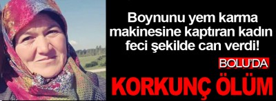 Bolu'da korkunç ölüm boynunu yem makinesine kaptırdı!