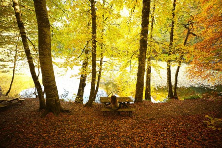 Burası Bolu'nun saklı cennet'i