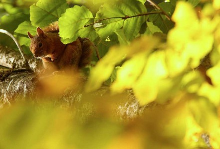 Burası Bolu'nun saklı cennet'i