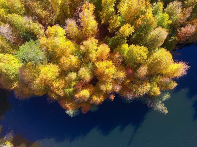 Bolu'da 800 bin TL dolandırılan çiftin hikayesi