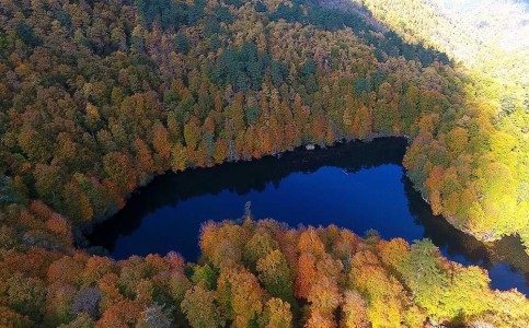 Bolu'da 800 bin TL dolandırılan çiftin hikayesi