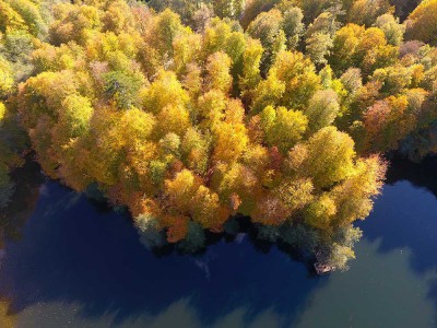 Bolu'da 800 bin TL dolandırılan çiftin hikayesi