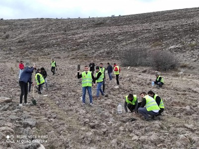 Ülkücüler Başbuğ'un anısına fidan dikti