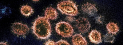 Antikorlara yakalanmayan koronavirüs mutasyonu tespit edildi!