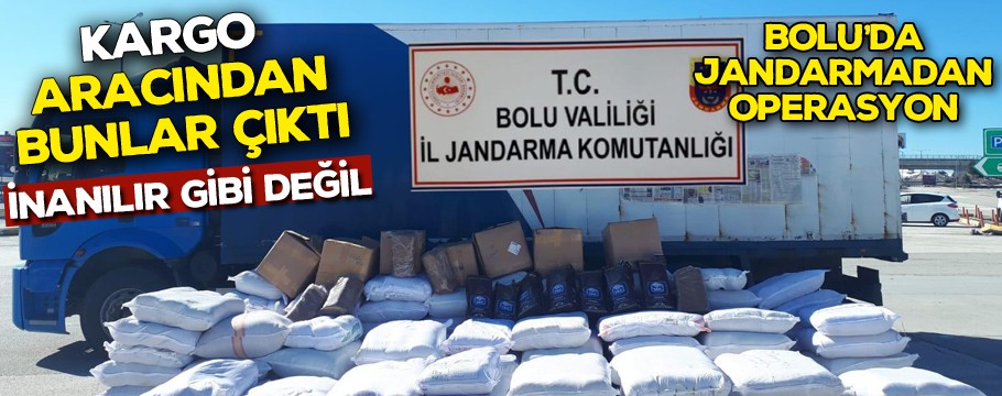 Kargo aracından bakın neler çıktı