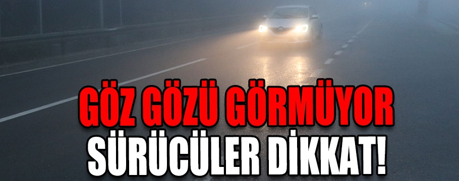 Göz gözü görmüyor