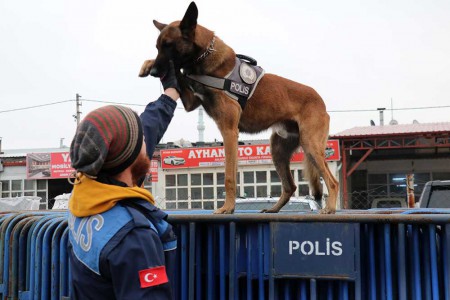 Hassas burunlar Bolu Dağı'nda zehir tacirlerine göz açtırmıyor