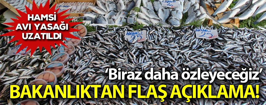 Biraz daha özleyeceğiz hamsi avı yasağı uzatıldı!