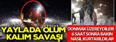 Yayla'da ölüm kalım savaşı