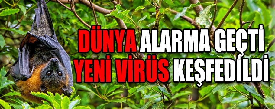 Dünya Alarma Geçti