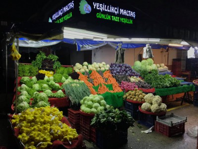 İşte Bolu'nun yeşillikçi doktoru 'Maltaş'