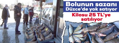 Düzce'de Bolunun sazanı yok satıyor