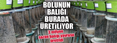 Bolu'da elde edilen 3 milyon sazan balığı yavrusu göl ve göletlere salınacak