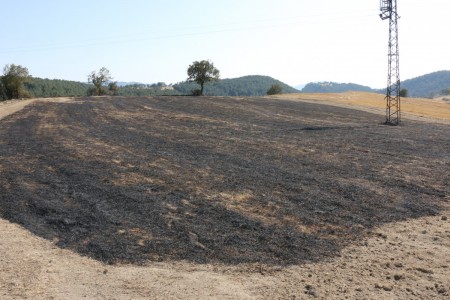 Bolu'da büyük köy yangını