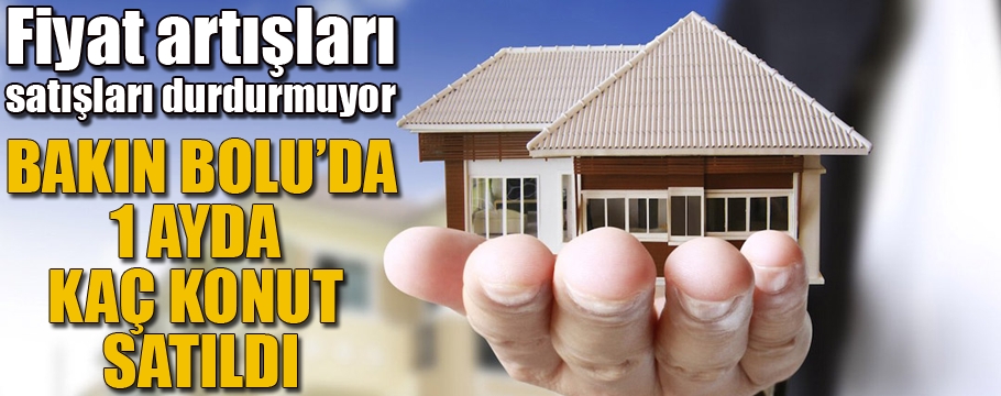 1 ayda Bolu'da kaç konut satıldı