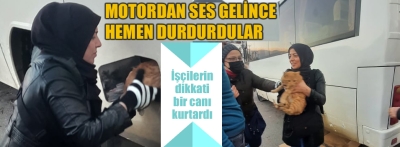 İşçilerin dikkati bir can kurtardı