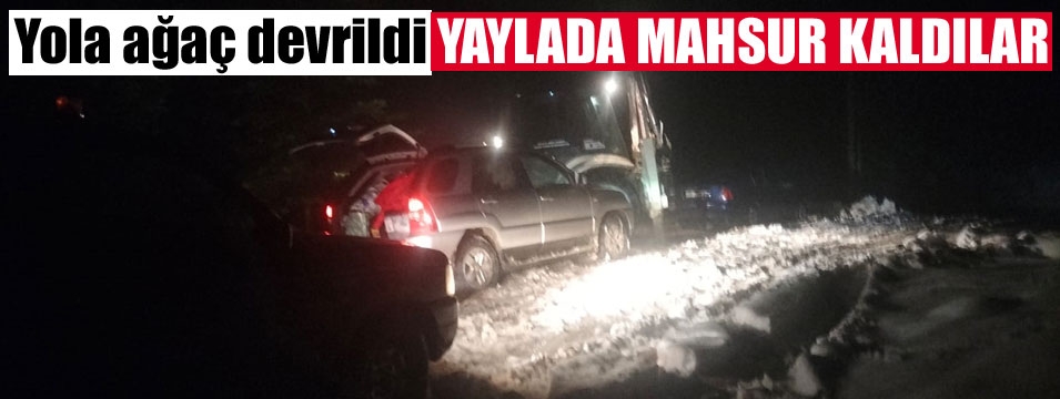 Bolu'da yaylada mahsur kalan ailenin yardımına jandarma yetişti