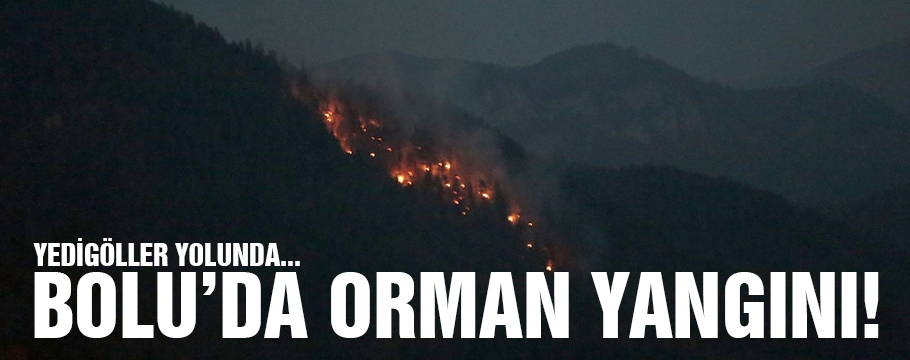 BOLU'DA ORMAN YANGINI!