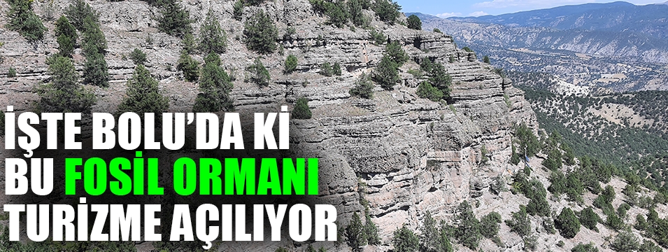 Fosil Araştırma Ormanı ziyarete açılacak